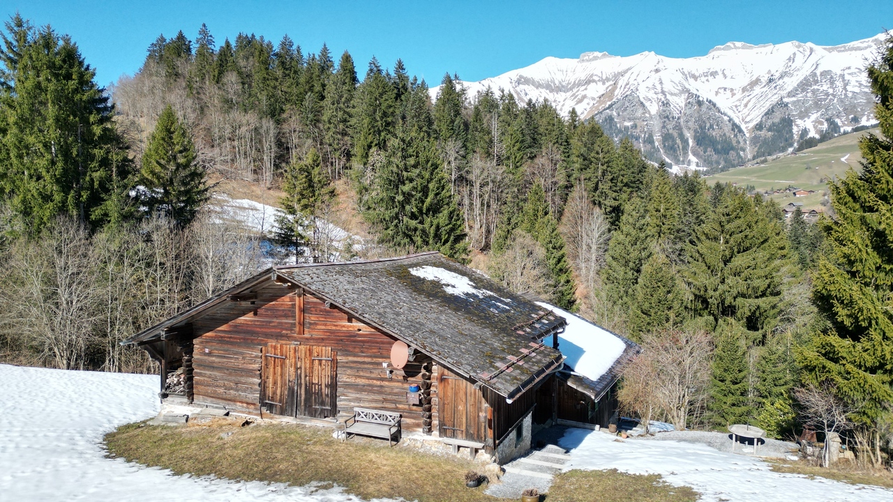 For Sale Chalet | Château-d'Oex - picture 2