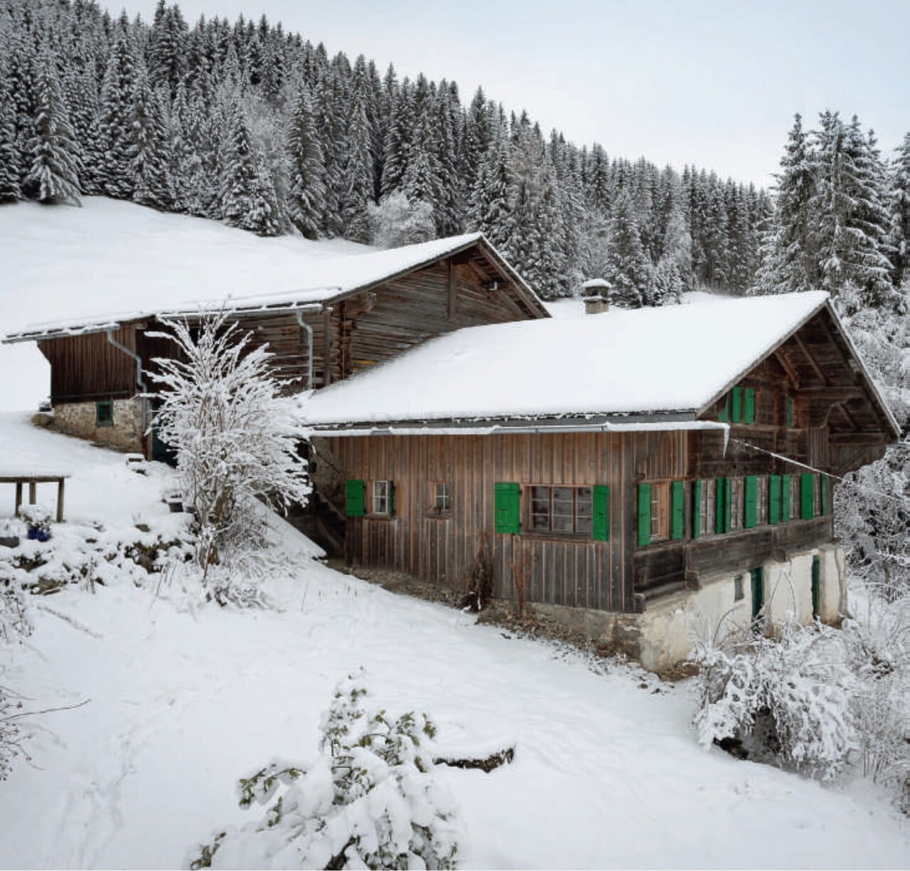 For Sale Chalet | Château-d'Oex - picture 3