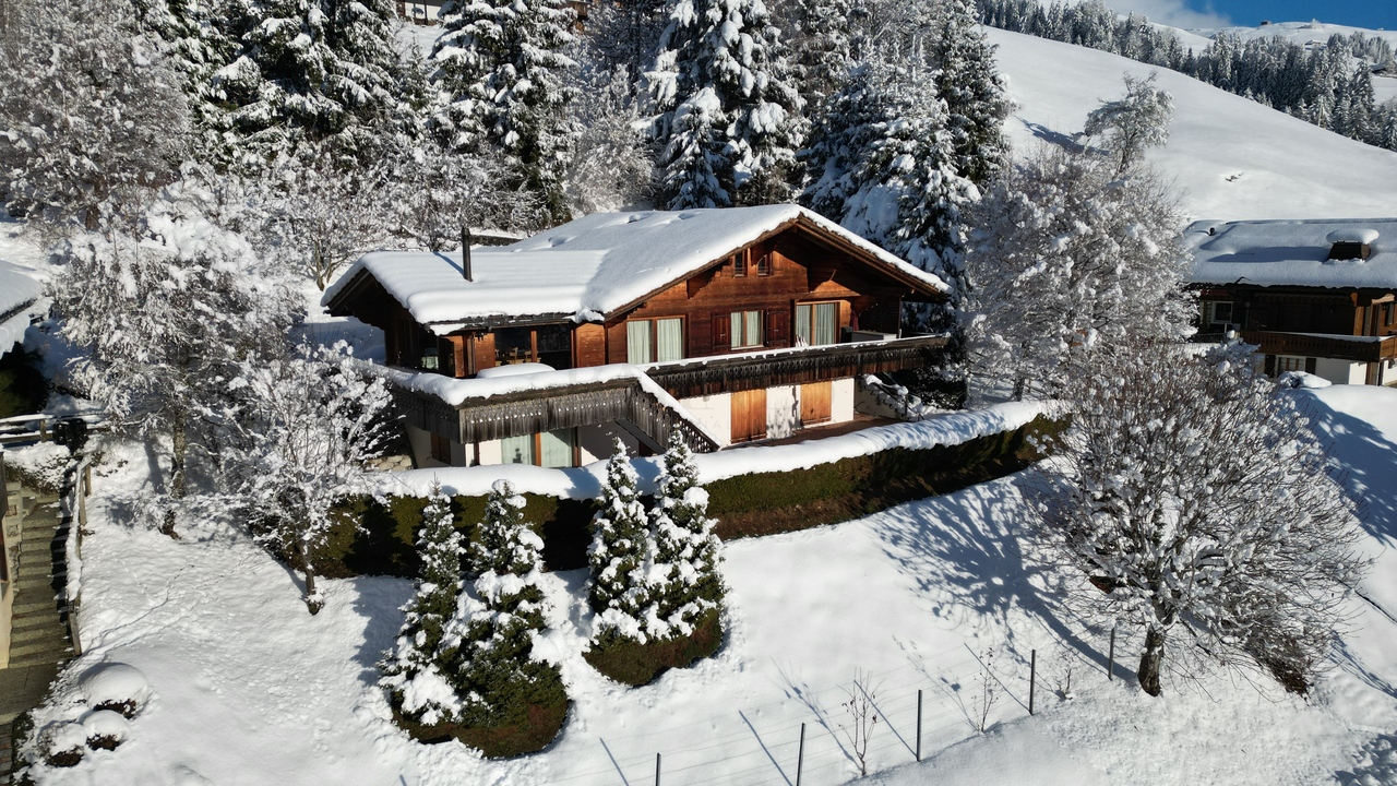 Chalet Château-d'Oex - picture 1