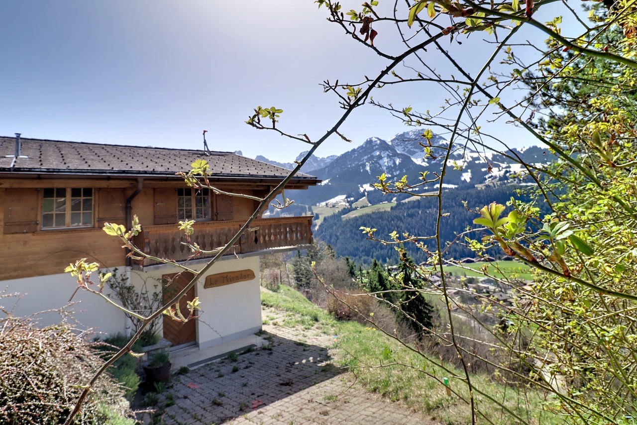 Venta Chalet | Château-d'Oex - picture 1