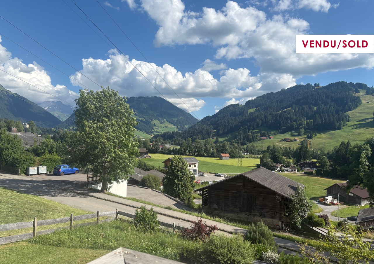 Apartment Saanen - picture 1