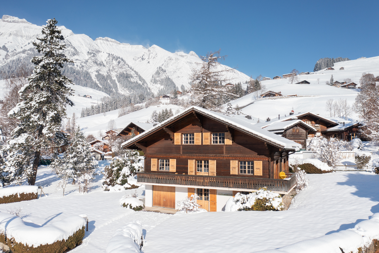 Chalet Château-d'Oex - picture 1